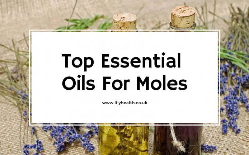 Top Essential Oils For Moles