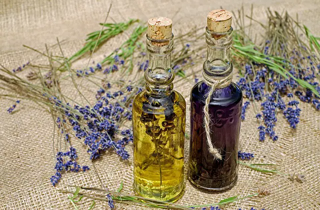 Lavender Essential Oil ﻿