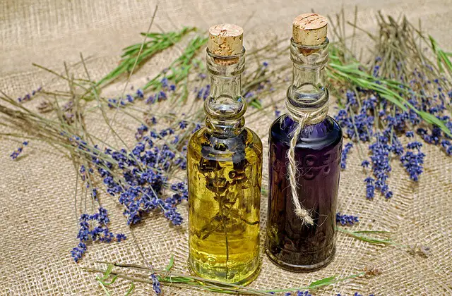 Lavender Essential Oil 