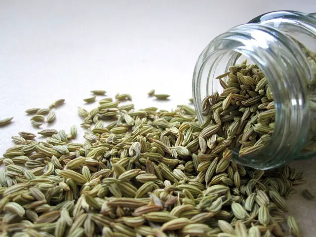 fennel in a jar