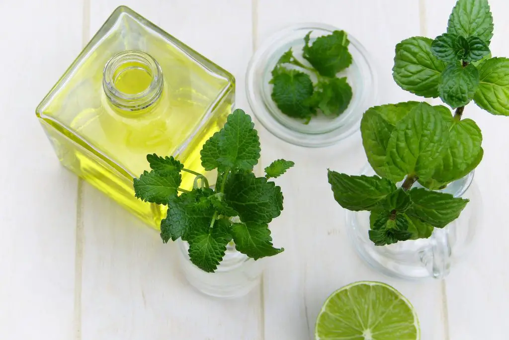 Essential Oils for Charley Horses 4 Essential Oils for Charley Horses 4