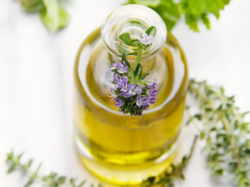 Essential Oils for Charley Horses 2 Essential Oils for Charley Horses 2