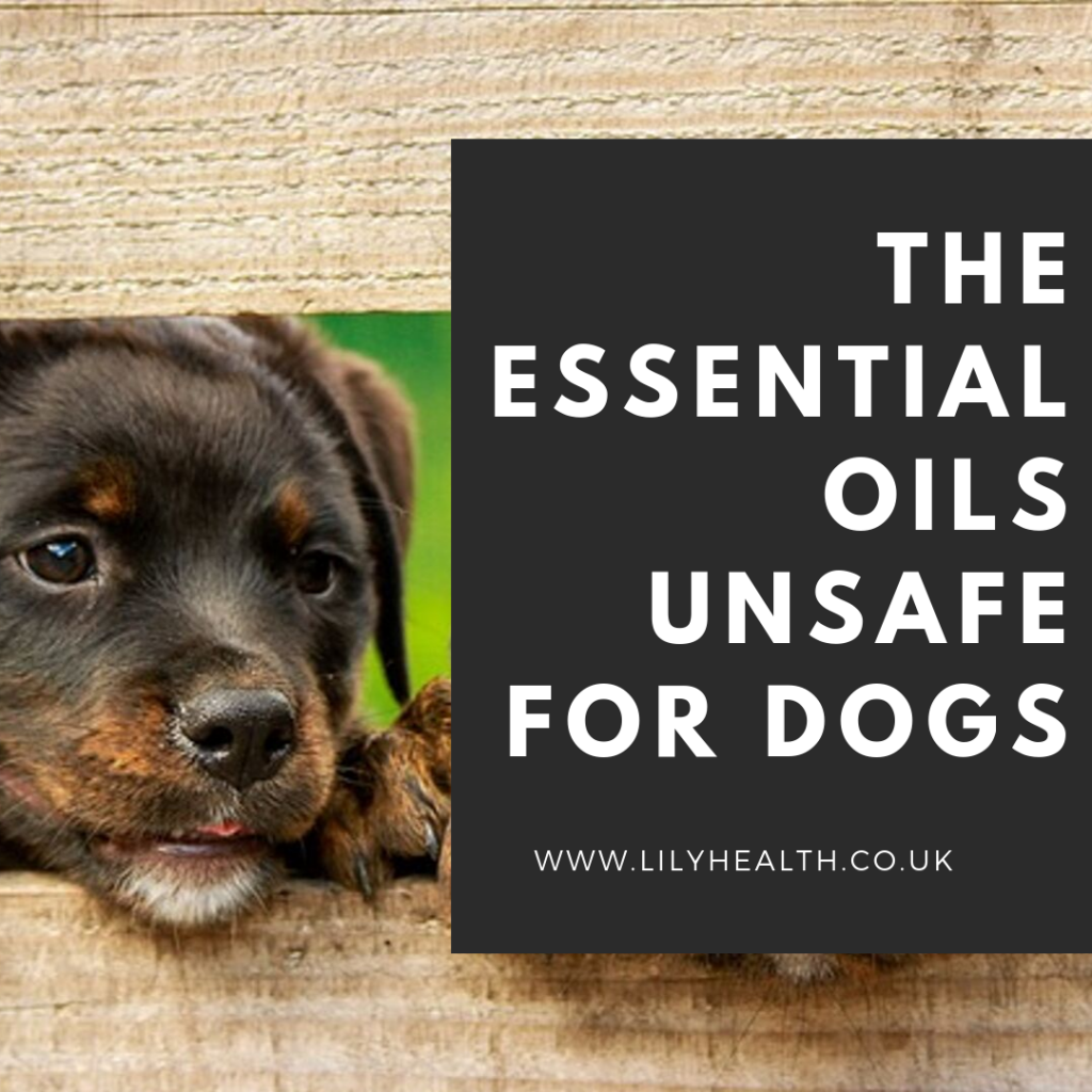 The Essential Oils Unsafe for Dogs