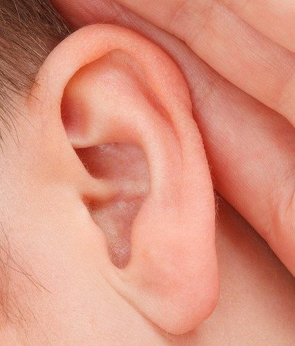 ear