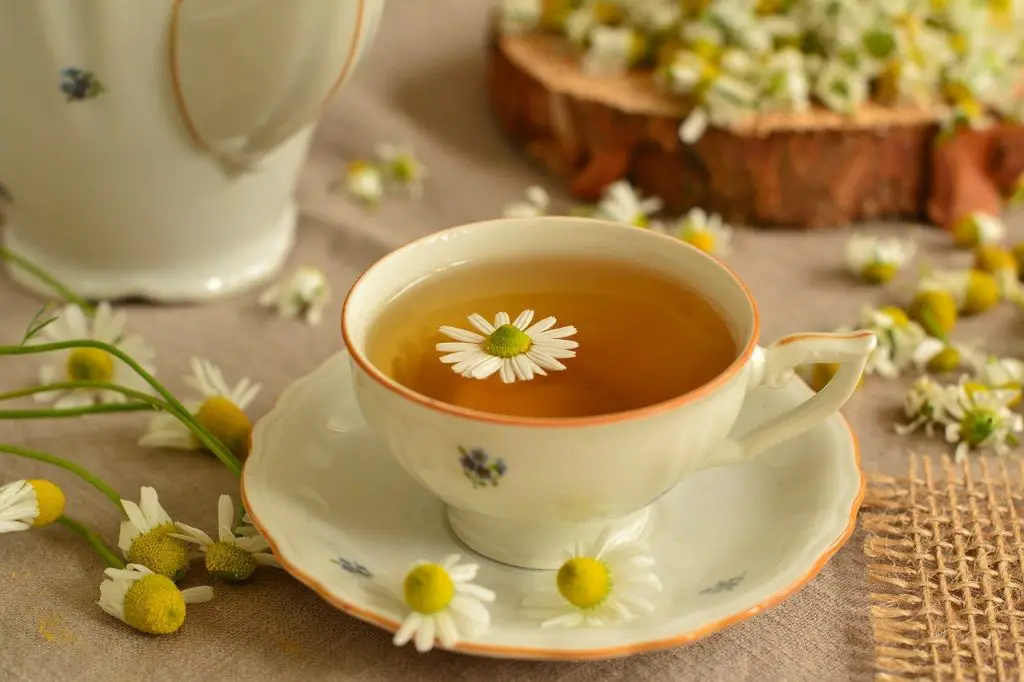 Chamomile Tea in a floral cup with a saucer